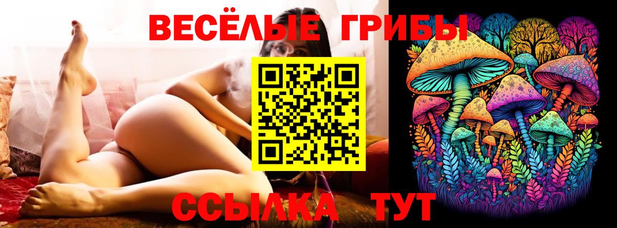 как найти закладки  Вход с VPN  Волжск  Галлюциногенные грибы ЛСД 